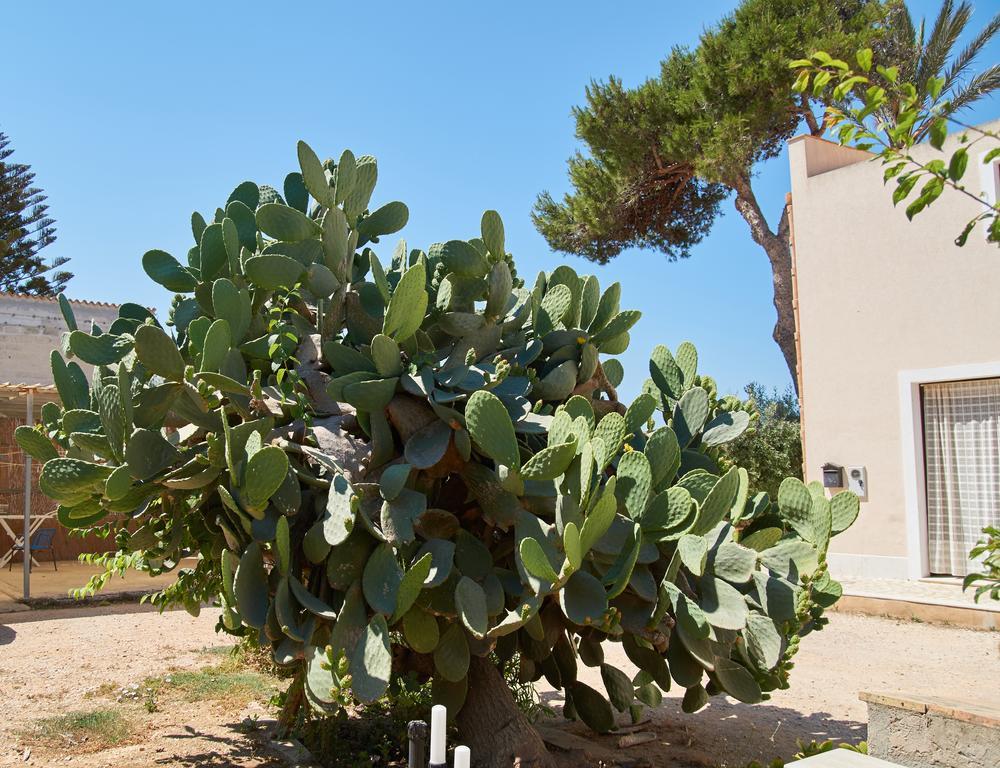 Casolare Nelle Saline Panzió Torre Nubia Kültér fotó